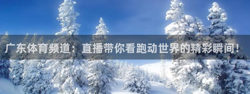 857nba免费直播在线直播