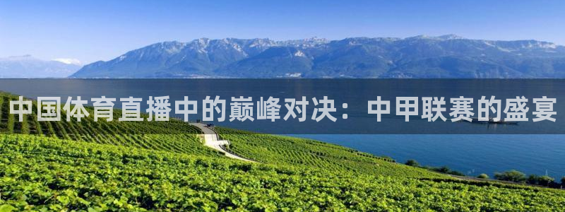 857免费看球直播：中国体育直播中的巅峰对决：中甲联赛的盛宴