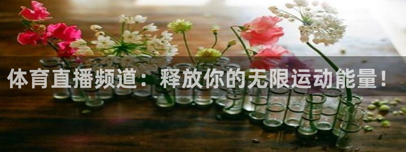857篮球直播：体育直播频道：释放你的无限运动能量！