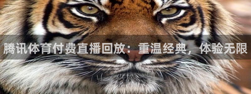 857nba篮球直播：腾讯体育付费直播回放：重温经典，体验无限