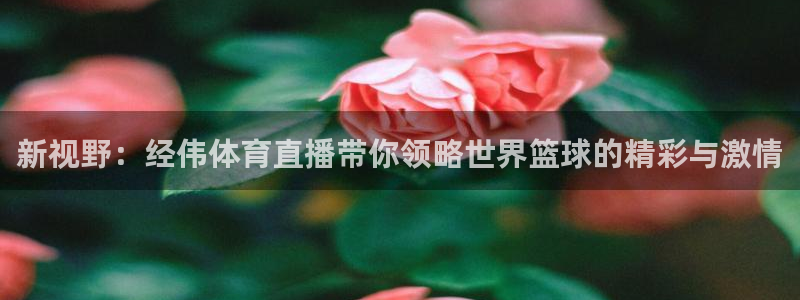 857直播体育直播间：新视野：经伟体育直播带你领略世界篮球的精彩与激情