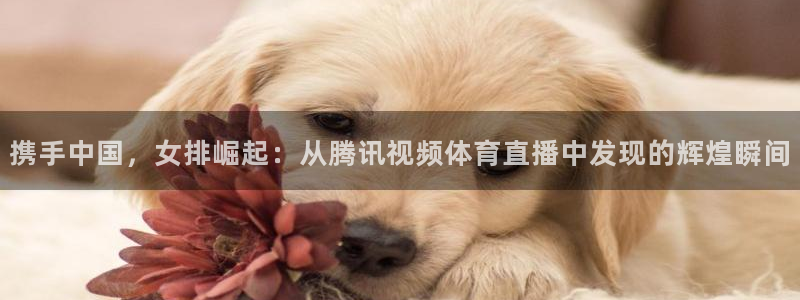 857直播平台看足球：携手中国，女排崛起：从腾讯视频体育直播中发现的辉煌瞬间