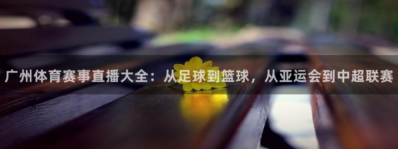 857 直播：广州体育赛事直播大全：从足球到篮球，从亚运会到中超联赛