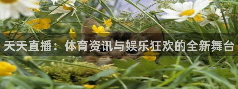 857tv体育免费直播